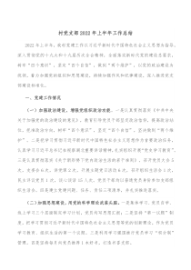 村党支部20XX年上半年工作总结