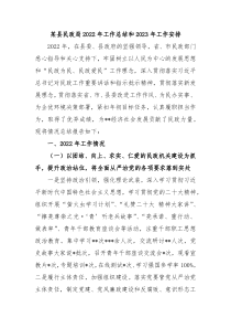 某县民政局20XX年工作总结和20XX年工作安排