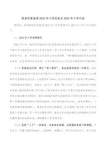 某县纪委监委20XX年工作总结及20XX年工作计划