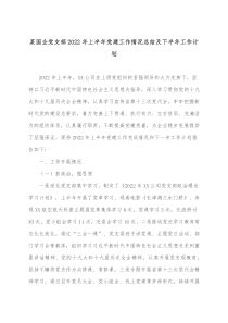 某国企党支部20XX年上半年党建工作情况总结及下半年工作计划