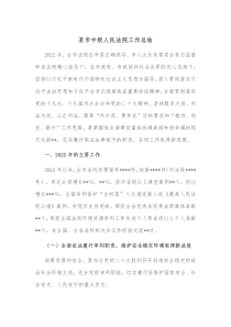 某市中级人民法院工作总结