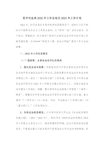 某市司法局20XX年工作总结及20XX年工作计划