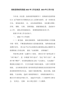 某某县财政局党组20XX年工作总结及20XX年工作计划
