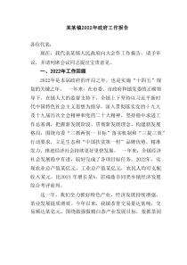 某某镇20XX年政府工作报告