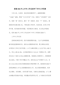 某镇20XX年上半年工作总结和下半年工作思路