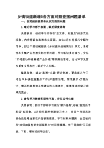 乡镇街道新增5各方面对照查摆问题清单