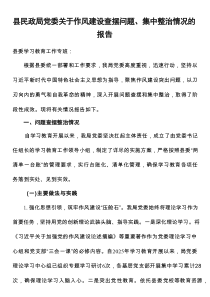 县民政局党委关于作风建设查摆问题、集中整治情况的报告
