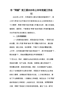 市“两新”党工委2025年上半年党建工作总结