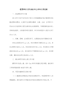 经贸审计工作20XX年上半年工作总结