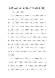 统计局20XX年上半年工作总结和下半年工作打算区县