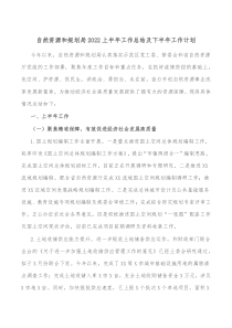 自然资源和规划局20XX上半年工作总结及下半年工作计划