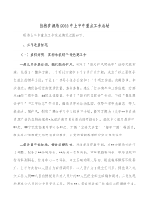 自然资源局20XX年上半年重点工作总结