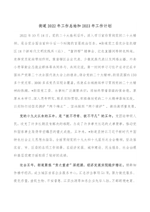 街道20XX年工作总结和20XX年工作计划