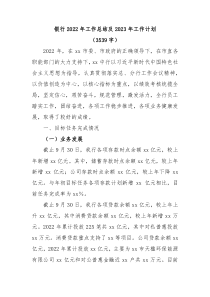 银行20XX年工作总结及20XX年工作计划