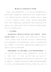 镇20XX年上半年安全生产工作总结