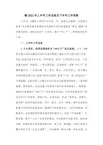 镇20XX年上半年工作总结及下半年工作思路