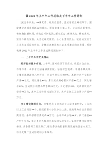 镇20XX年上半年工作总结及下半年工作计划