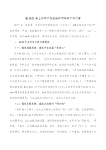 镇20XX年上半年工作总结和下半年工作打算