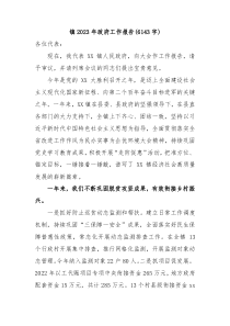 镇20XX年政府工作报告
