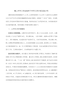 镇上半年工作总结和下半年工作计划20XX年