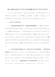 镇人民政府20XX年上半年工作总结暨20XX年下半年工作计划