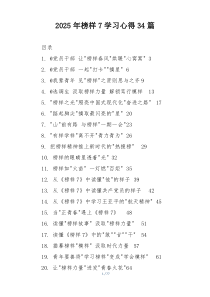 2025年榜样7学习心得34篇