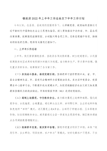 镇政府20XX年上半年工作总结及下半年工作计划