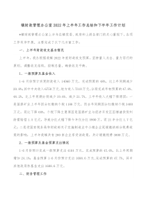 镇财政管理办公室20XX年上半年工作总结和下半年工作计划