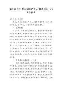 镇长在20XX年中国共产党xx镇委员会上的工作报告