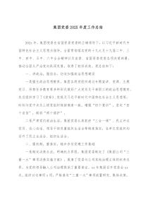 集团党委202X年度工作总结