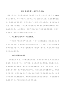 驻村帮扶队第一书记工作总结
