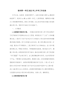 驻村第一书记20XX年上半年工作总结