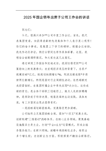 2025年国企领导出席子公司工作会的讲话