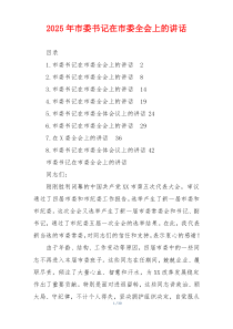 2025年市委书记在市委全会上的讲话