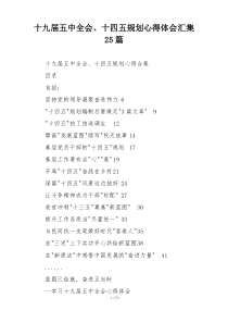 十九届五中全会、十四五规划心得体会汇集25篇