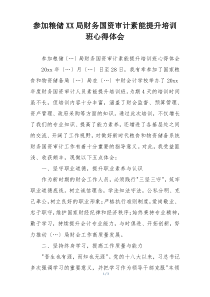 参加粮储XX局财务国资审计素能提升培训班心得体会