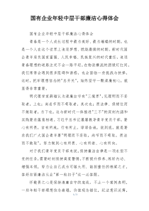 国有企业年轻中层干部廉洁心得体会