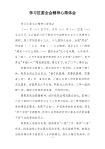 学习区委全会精神心得体会