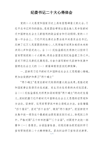 纪委书记二十大心得体会
