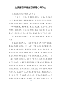 选派挂职干部挂职锻炼心得体会