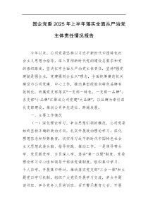 国企党委2025年上半年落实全面从严治党主体责任情况报告