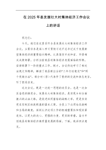 在2025年县发展壮大村集体经济工作会议上的讲话