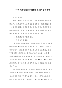在涉民生领域专项督察会上的发言材料