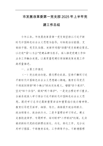 市发展改革委第一党支部2025年上半年党建工作总结