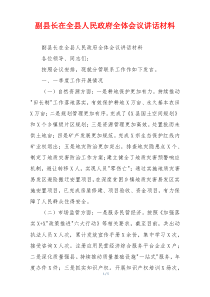 副县长在全县人民政府全体会议讲话材料
