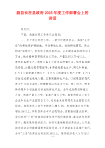 副县长在县政府2025年度工作部署会上的讲话