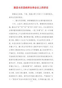 副县长在县政府全体会议上的讲话