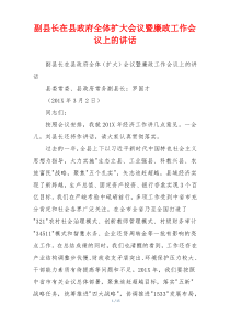 副县长在县政府全体扩大会议暨廉政工作会议上的讲话