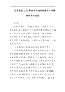 副市长在2025年全市法治政府建设工作推进会上的讲话