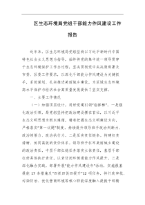 区生态环境局党组干部能力作风建设工作报告